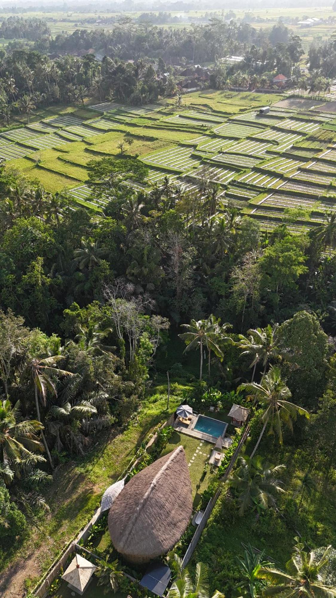 Pitu, A Punggul Village Escape Sangeh Exteriör bild